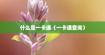 什么是一卡通（一卡通查询）