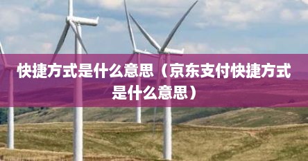 快捷方式是什么意思（京东支付快捷方式是什么意思）