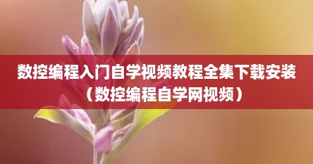 数控编程入门自学视频教程全集下载安装（数控编程自学网视频）