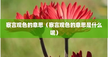 察言观色的意思（察言观色的意思是什么呢）