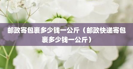 邮政寄包裹多少钱一公斤（邮政快递寄包裹多少钱一公斤）