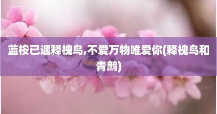 蓝桉已遇释槐鸟,不爱万物唯爱你(释槐鸟和青鹧)