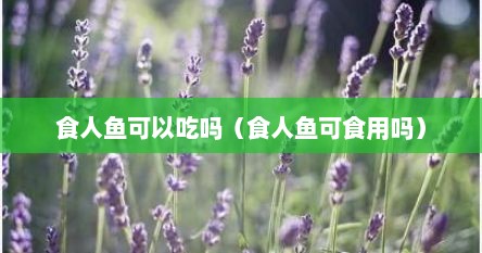 食人鱼可以吃吗（食人鱼可食用吗）