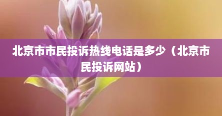 北京市市民投诉热线电话是多少（北京市民投诉网站）
