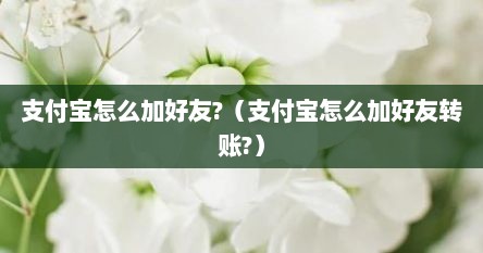 支付宝怎么加好友?（支付宝怎么加好友转账?）