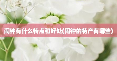 闹钟有什么特点和好处(闹钟的特产有哪些)