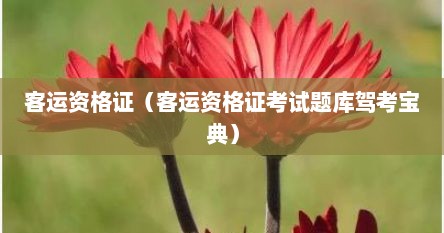 客运资格证（客运资格证考试题库驾考宝典）