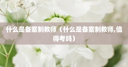 什么是备案制教师（什么是备案制教师,值得考吗）