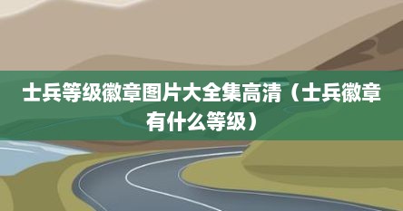 士兵等级徽章图片大全集高清(士兵徽章有什么等级)