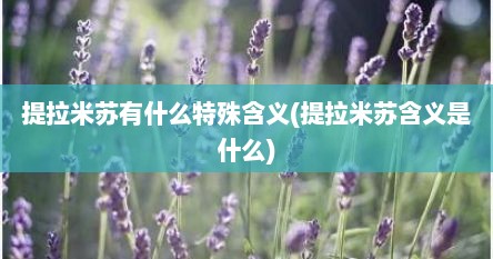 提拉米苏有什么特殊含义(提拉米苏含义是什么)