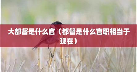 大都督是什么官（都督是什么官职相当于现在）