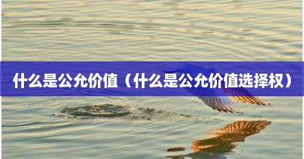 什么是公允价值（什么是公允价值选择权）