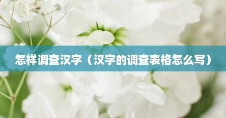 怎样调查汉字（汉字的调查表格怎么写）