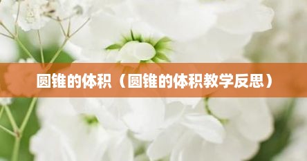 圆锥的体积（圆锥的体积教学反思）