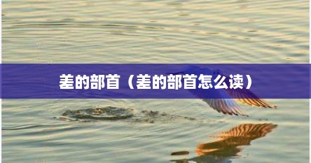 差的部首（差的部首怎么读）