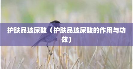 护肤品玻尿酸（护肤品玻尿酸的作用与功效）
