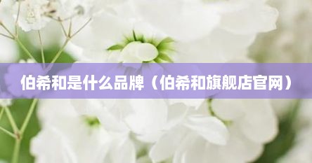伯希和是什么品牌（伯希和旗舰店官网）