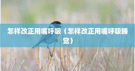 怎样改正用嘴呼吸（怎样改正用嘴呼吸睡觉）