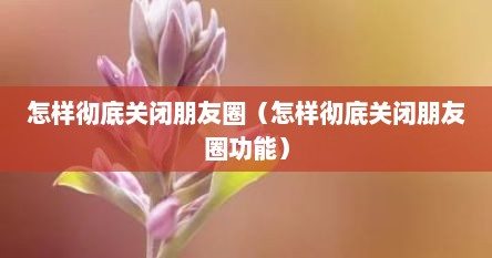 怎样彻底关闭朋友圈（怎样彻底关闭朋友圈功能）