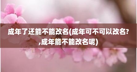 成年了还能不能改名(成年可不可以改名?,成年能不能改名呢)