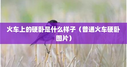 火车上的硬卧是什么样子（普通火车硬卧图片）
