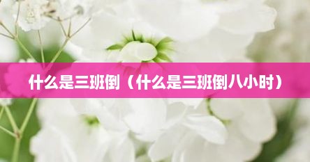 什么是三班倒（什么是三班倒八小时）