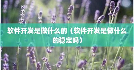 软件开发是做什么的（软件开发是做什么的稳定吗）