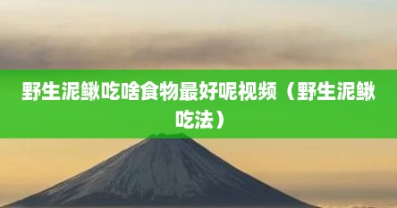 野生泥鳅吃啥食物最好呢视频（野生泥鳅吃法）