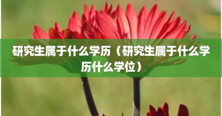 研究生属于什么学历（研究生属于什么学历什么学位）