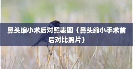 鼻头缩小术后对照表图（鼻头缩小手术前后对比照片）