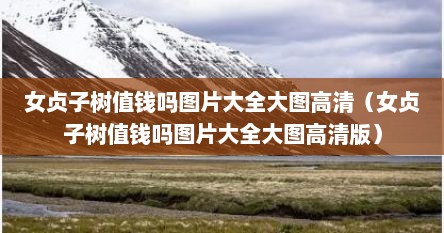 女贞子树值钱吗图片大全大图高清（女贞子树值钱吗图片大全大图高清版）