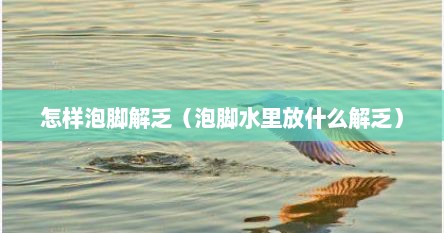 怎样泡脚解乏（泡脚水里放什么解乏）