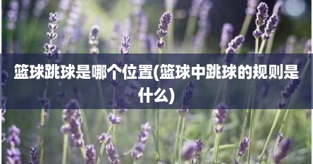 篮球跳球是哪个位置(篮球中跳球的规则是什么)