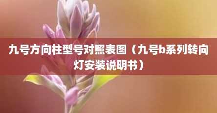 九号方向柱型号对照表图（九号b系列转向灯安装说明书）