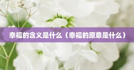 幸福的含义是什么（幸福的原意是什么）