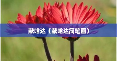 献哈达（献哈达简笔画）