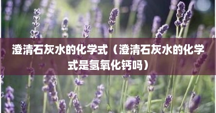澄清石灰水的化学式（澄清石灰水的化学式是氢氧化钙吗）
