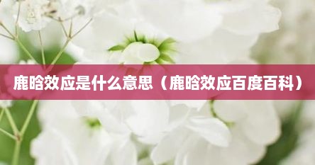 鹿晗效应是什么意思（鹿晗效应百度百科）