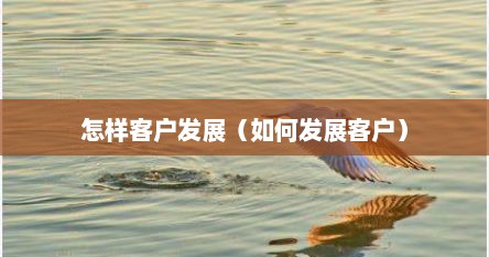 怎样客户发展（如何发展客户）