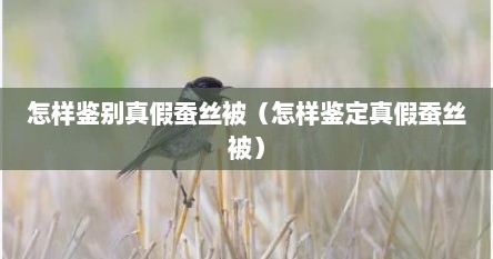 怎样鉴别真假蚕丝被（怎样鉴定真假蚕丝被）