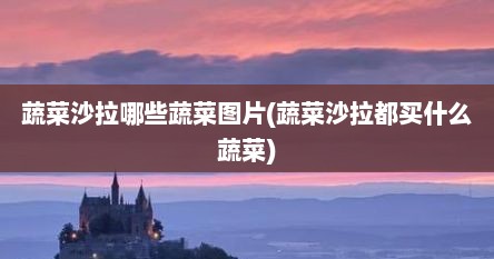 蔬菜沙拉哪些蔬菜图片(蔬菜沙拉都买什么蔬菜)