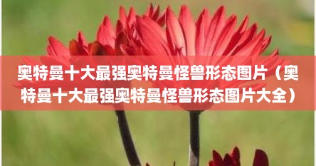 奥特曼十大最强奥特曼怪兽形态图片（奥特曼十大最强奥特曼怪兽形态图片大全）