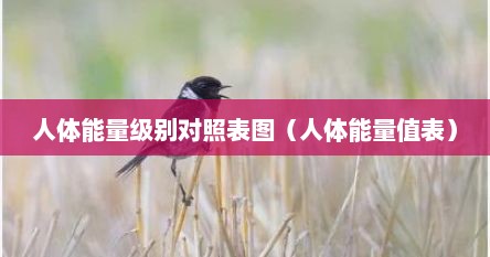 人体能量级别对照表图（人体能量值表）