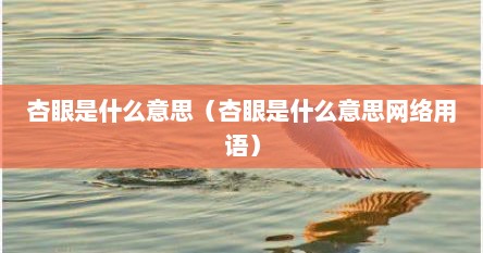 杏眼是什么意思（杏眼是什么意思网络用语）