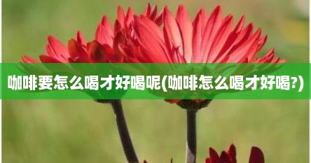 咖啡要怎么喝才好喝呢(咖啡怎么喝才好喝?)