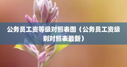 公务员工资等级对照表图（公务员工资级别对照表最新）