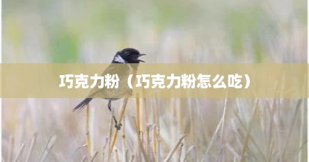 巧克力粉（巧克力粉怎么吃）
