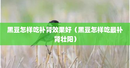 黑豆怎样吃补肾效果好（黑豆怎样吃最补肾壮阳）