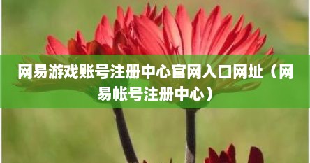 网易游戏账号注册中心官网入口网址（网易帐号注册中心）