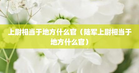 上尉相当于地方什么官（陆军上尉相当于地方什么官）